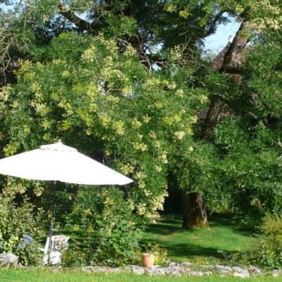 Vue de la terrasse du gîte Ribieral